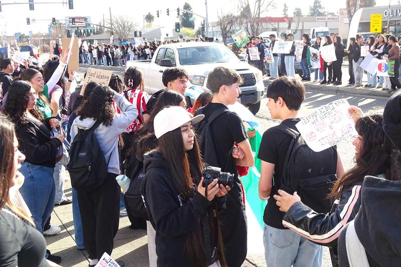 SLZUSD high school students gather at the intersection of Lewelling and Hesperian during their walkout to protest ICE enforcement activities.