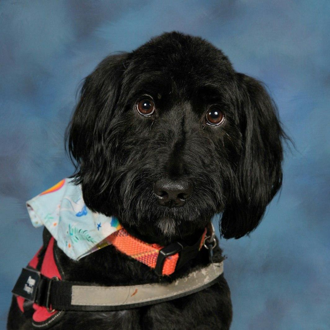 PepperFerguson's Profile Photo