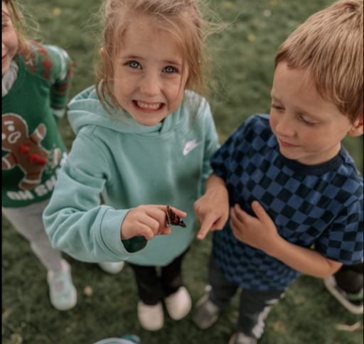 butterflies