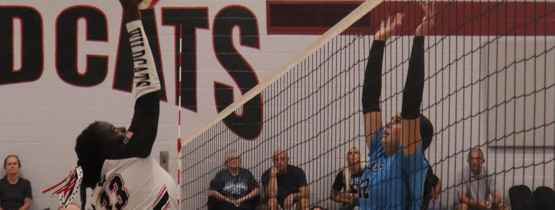 volleyball