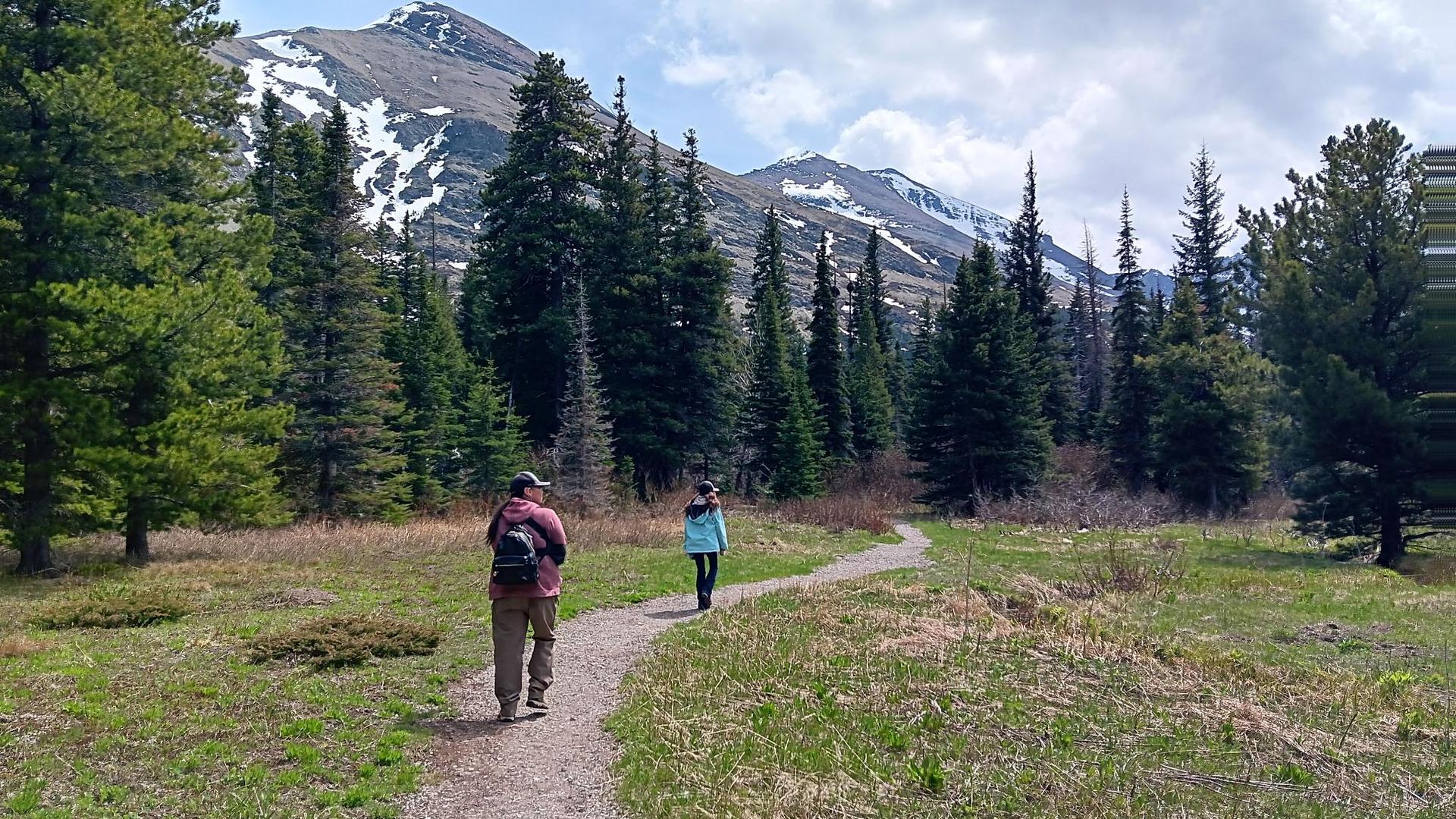 Two hikers on a trail surrounded by trees and mountainous scenery.