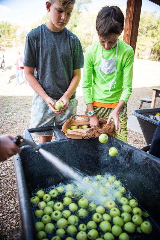 Farm School Harvest Fest