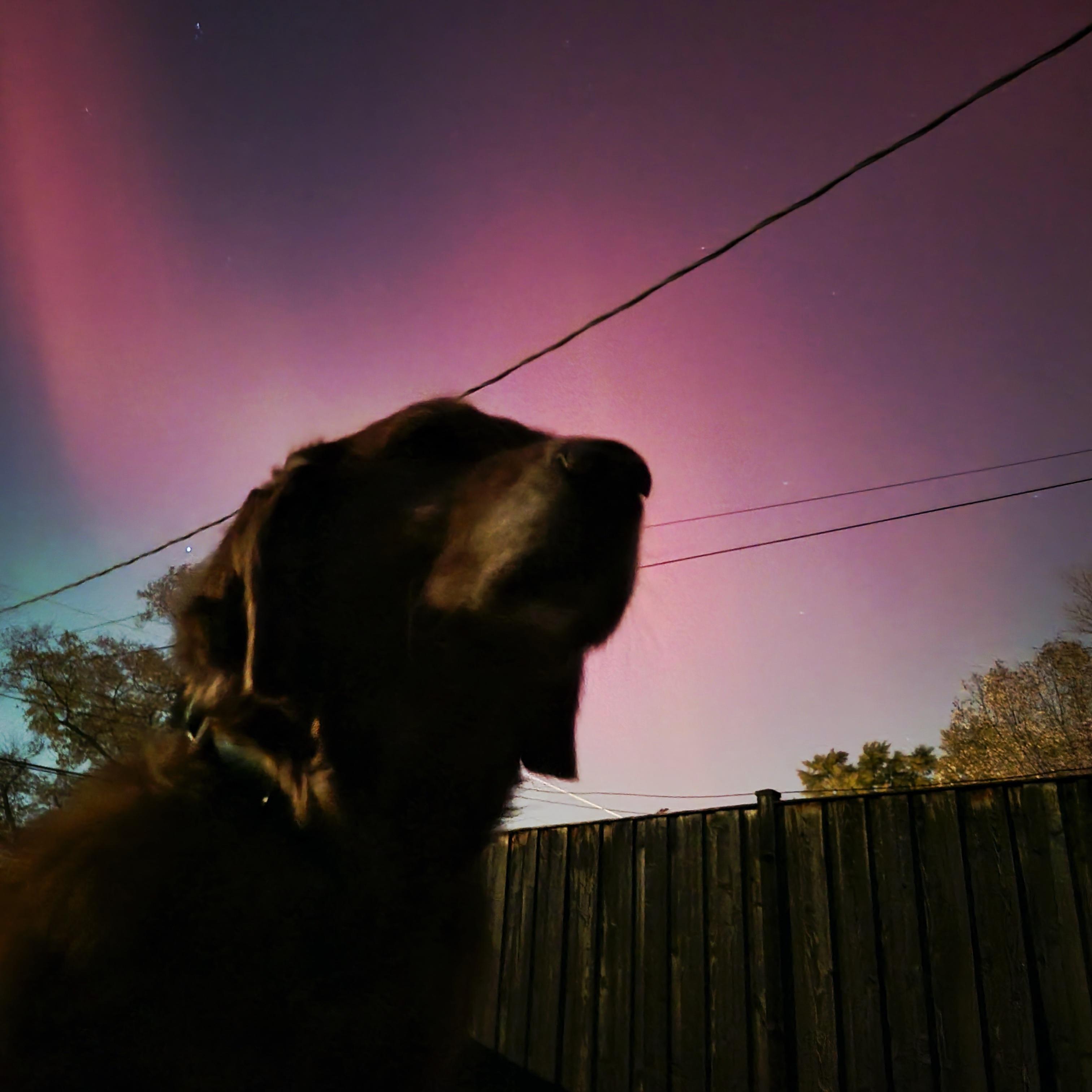 MegganRomei's Profile Photo