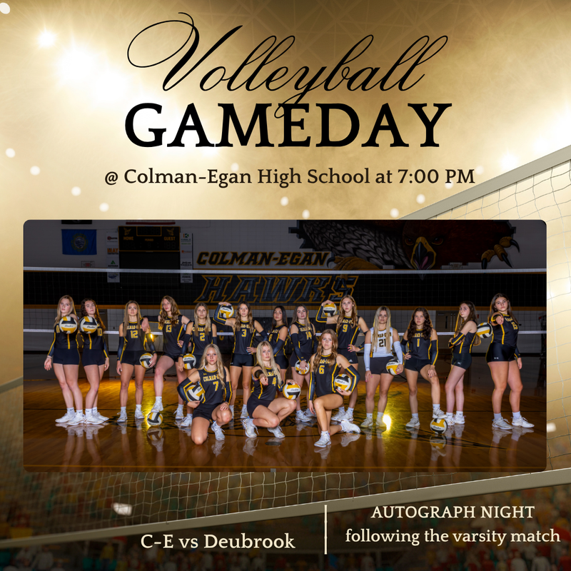 Hawks VB