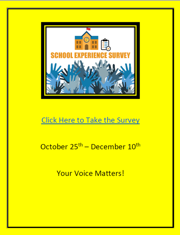 School Experience Survey