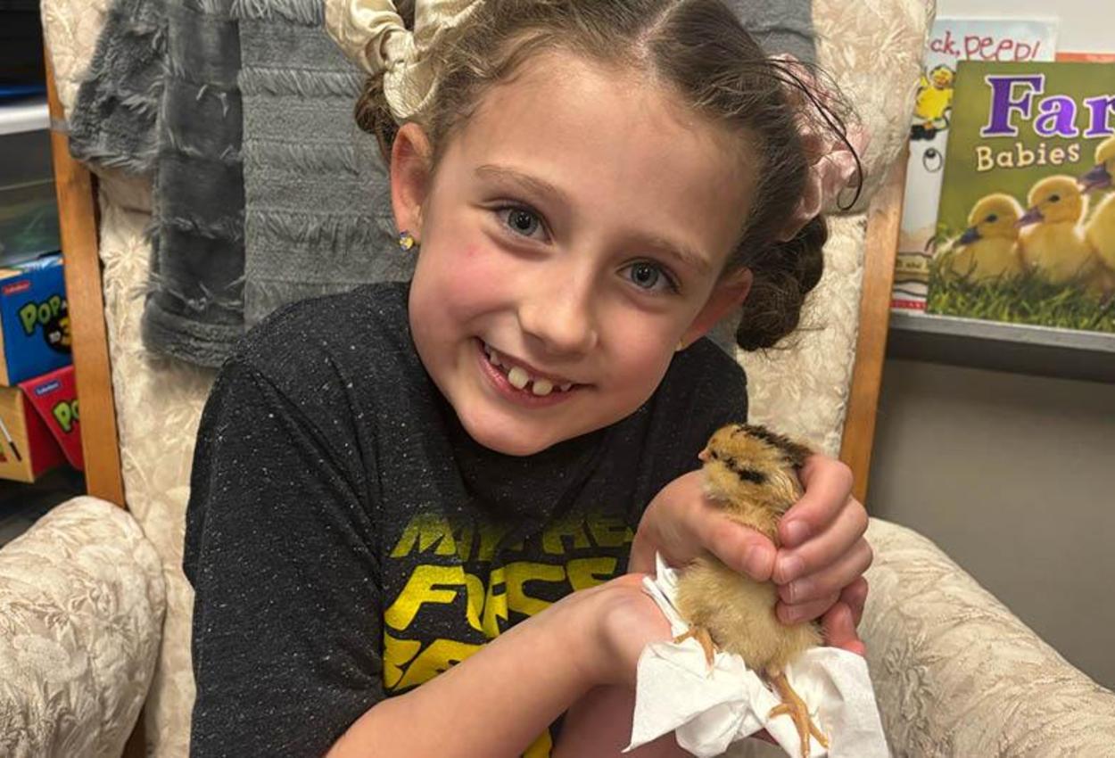 A Level Green 1st grader holds one of Miss Hlavsa&rsquo;s classroom chicks