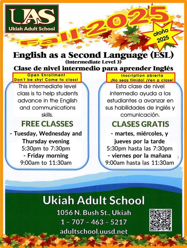 Free Intermediate ESL class (Level 3) poster.