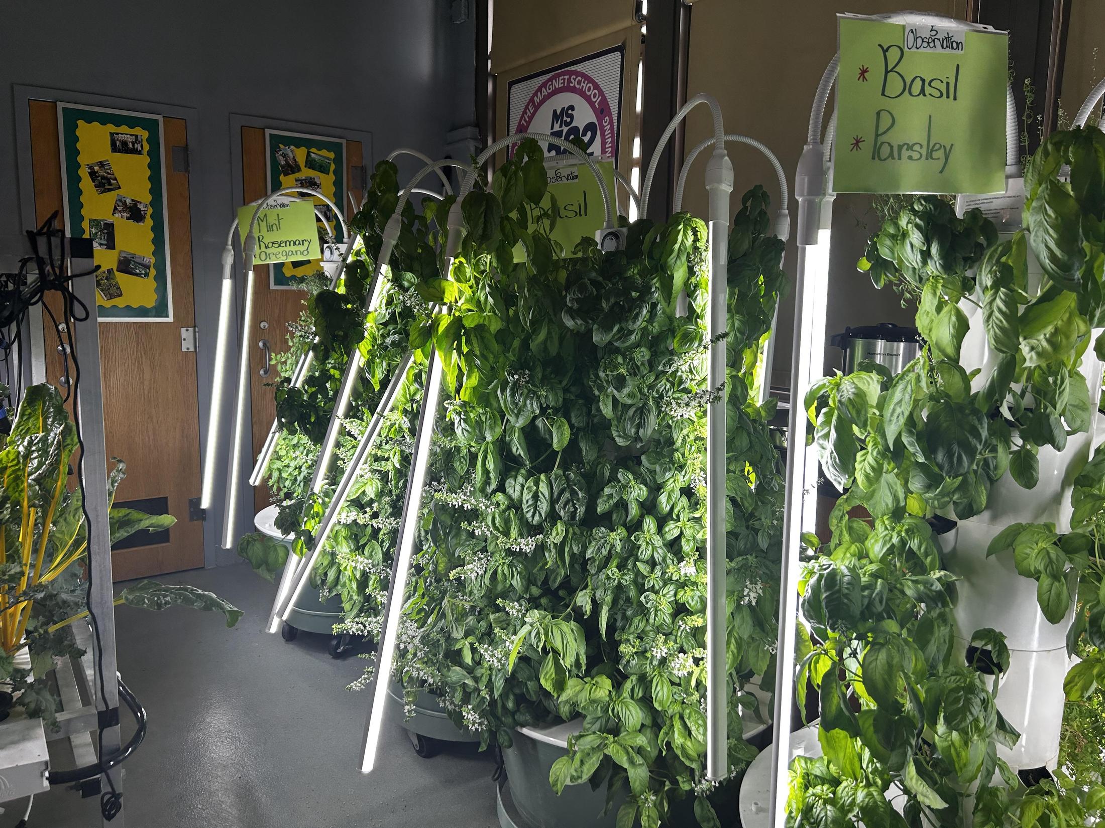 Labcorp Hydroponics Lab Specialty Courses – Academic Programs – MS 582