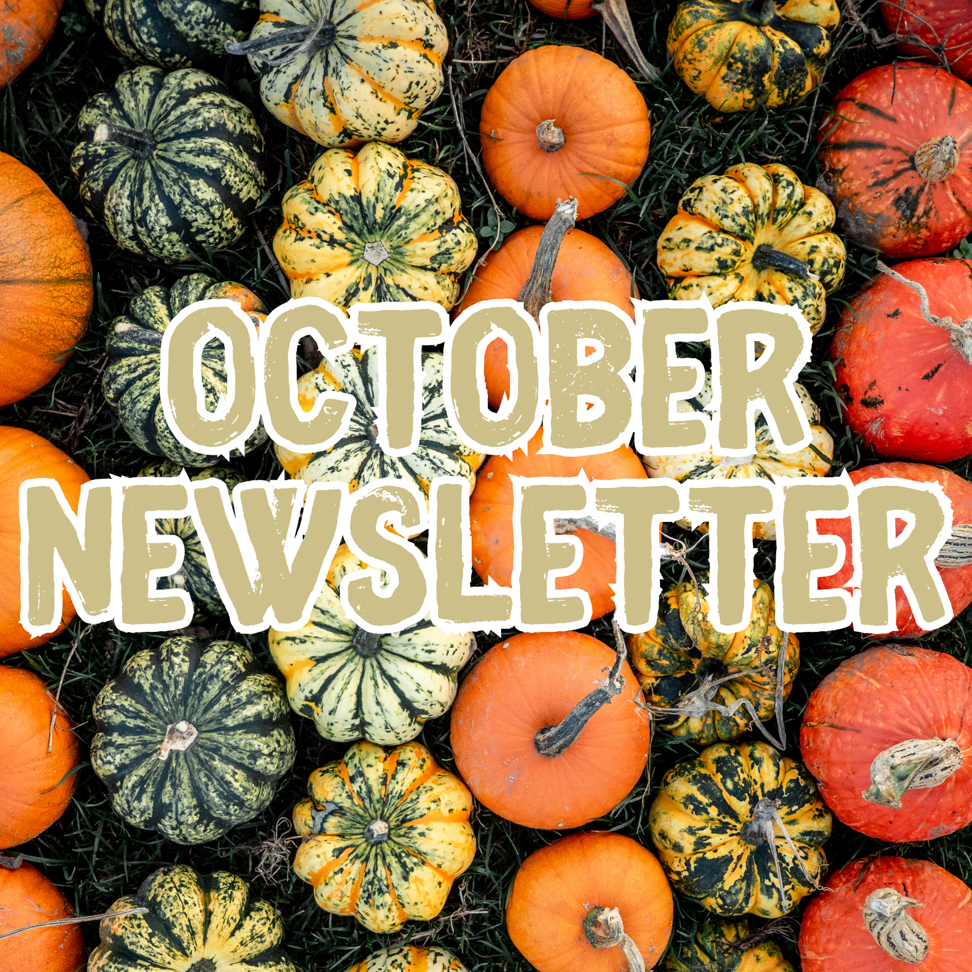 Counseling Newsletter