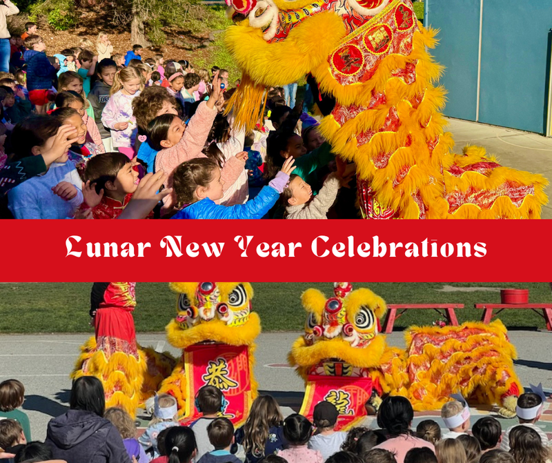 Lunar New Year Image