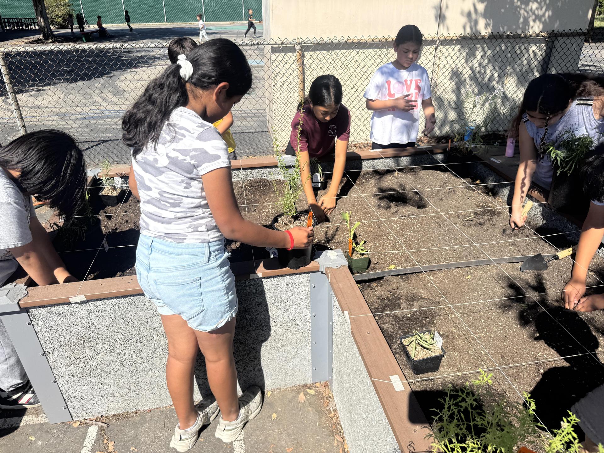 Lorne's Monarch Butterfly Sanctuary Garden