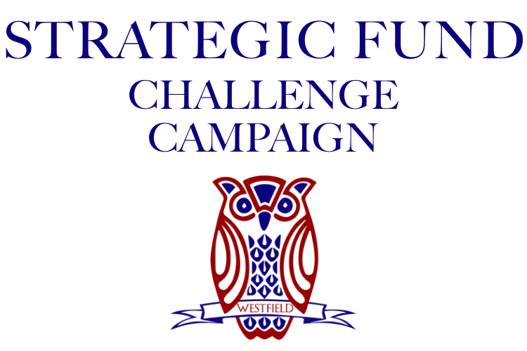 Double Your Imapct: Join the Challenge to Unlock $250,000 for the New Strategic Fund Featured Photo