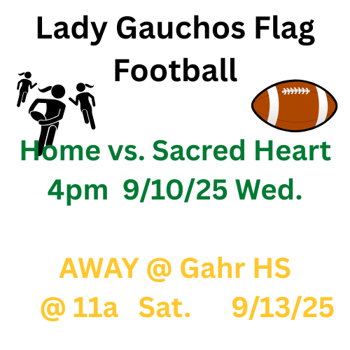 lady gauchos flag