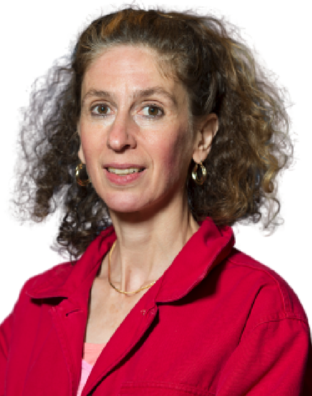 Dr. Kassiani Kotsidou, STEM Coordinator