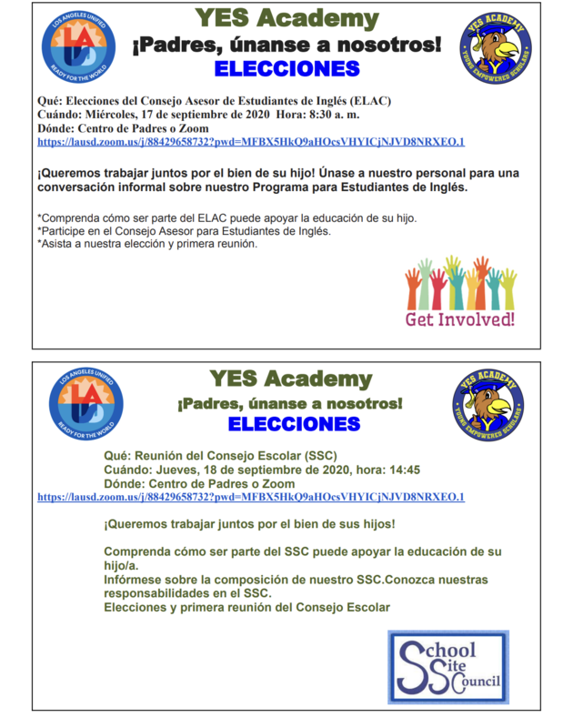 SSC/ELAC spanish