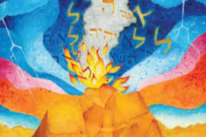 Rabbi Silvestri's Round Up: 02/09/2023