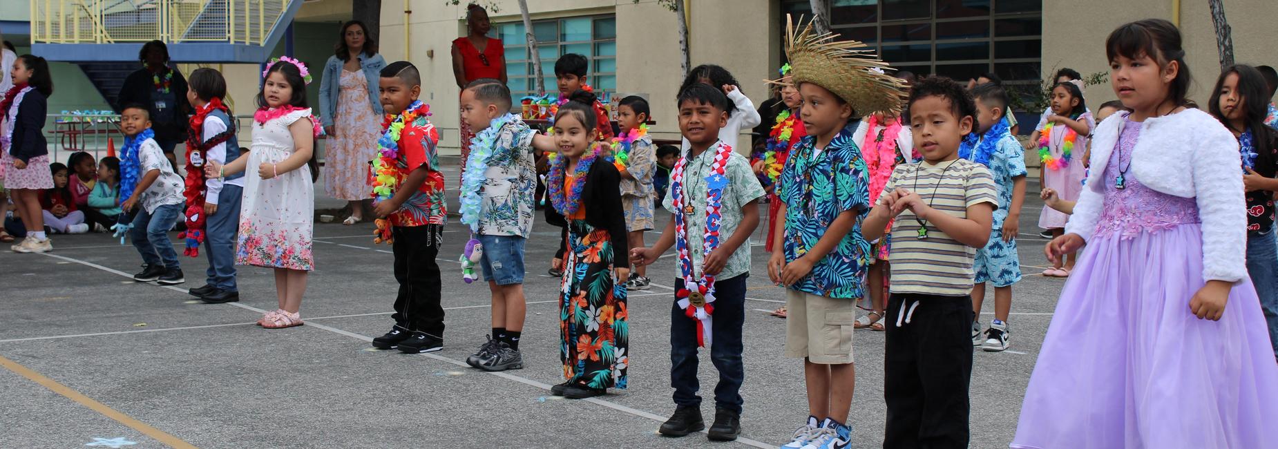 Mrs. Di Matteo&rsquo;s Class