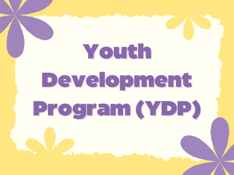 Youth Development Afterschool Program