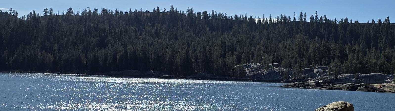 Mountain lake with pine trees in the background