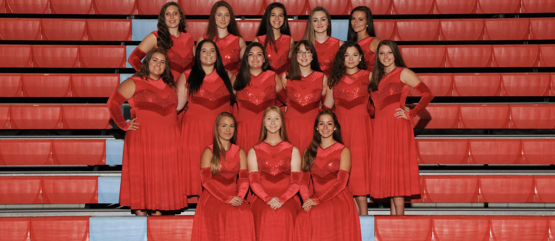LHS Color Guard