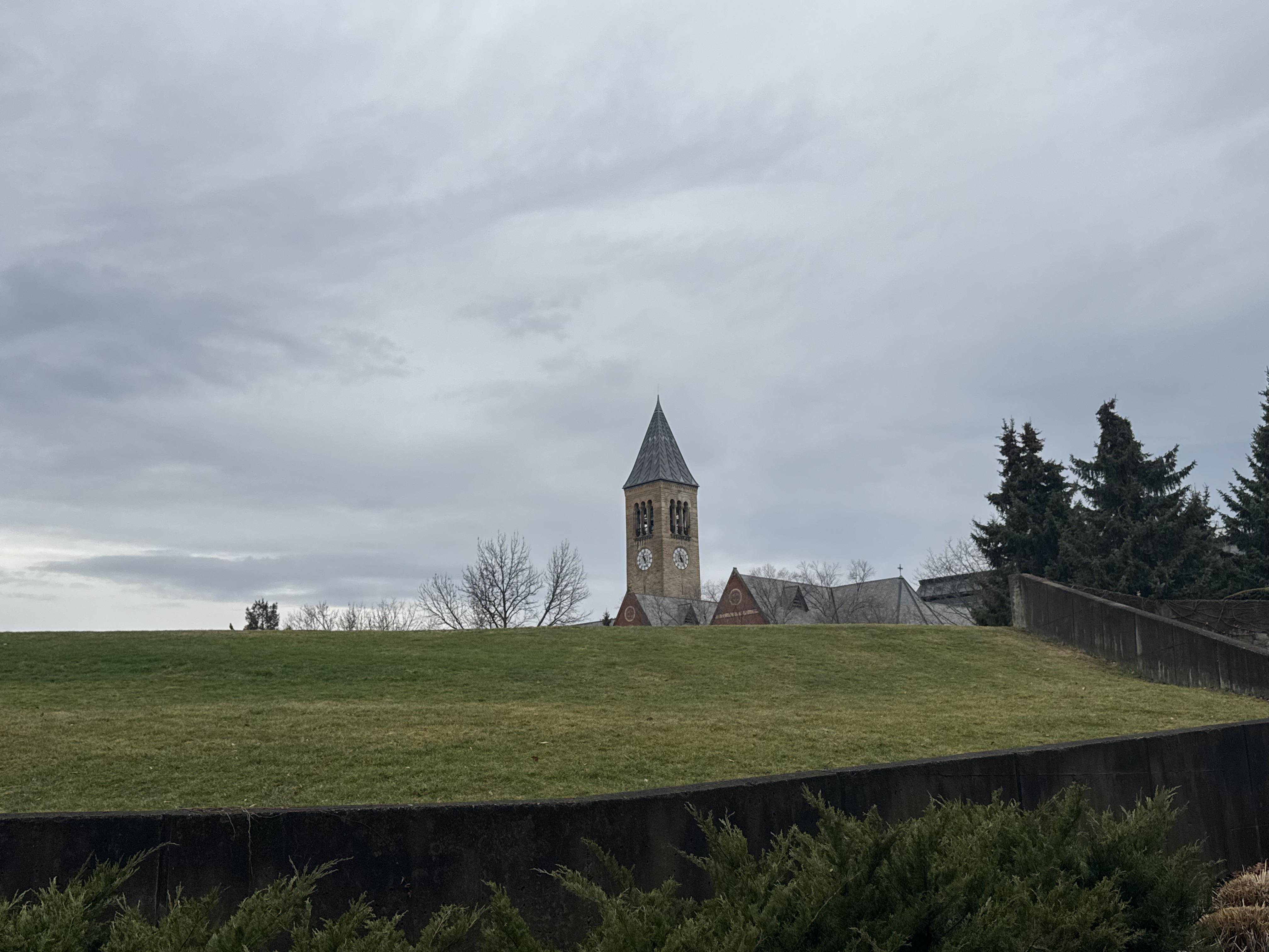 Clock tower stands tall against a gray sky, surrounded by a grassy field.