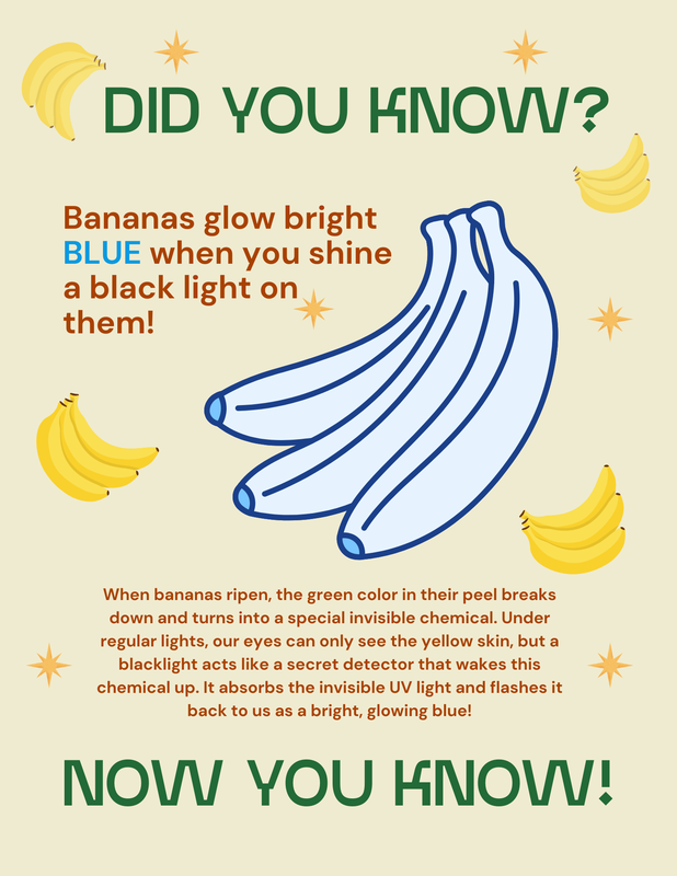 DID YOU KNOW?!