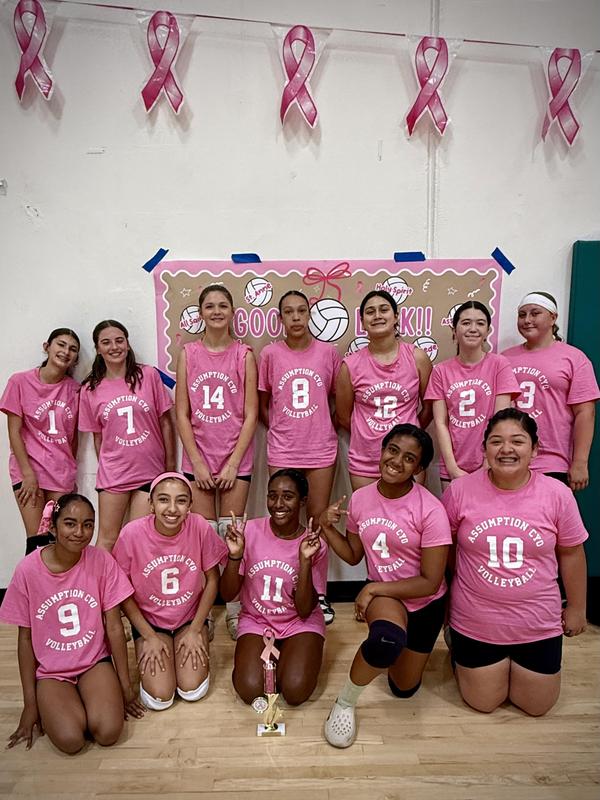 7th grade girls volleyball picture