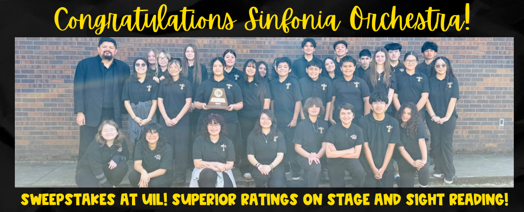 Group photo of Sinfonia Orchestra with a trophy, celebrating their achievements.