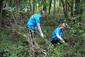 Two students work on cutting out invasive species of plants.