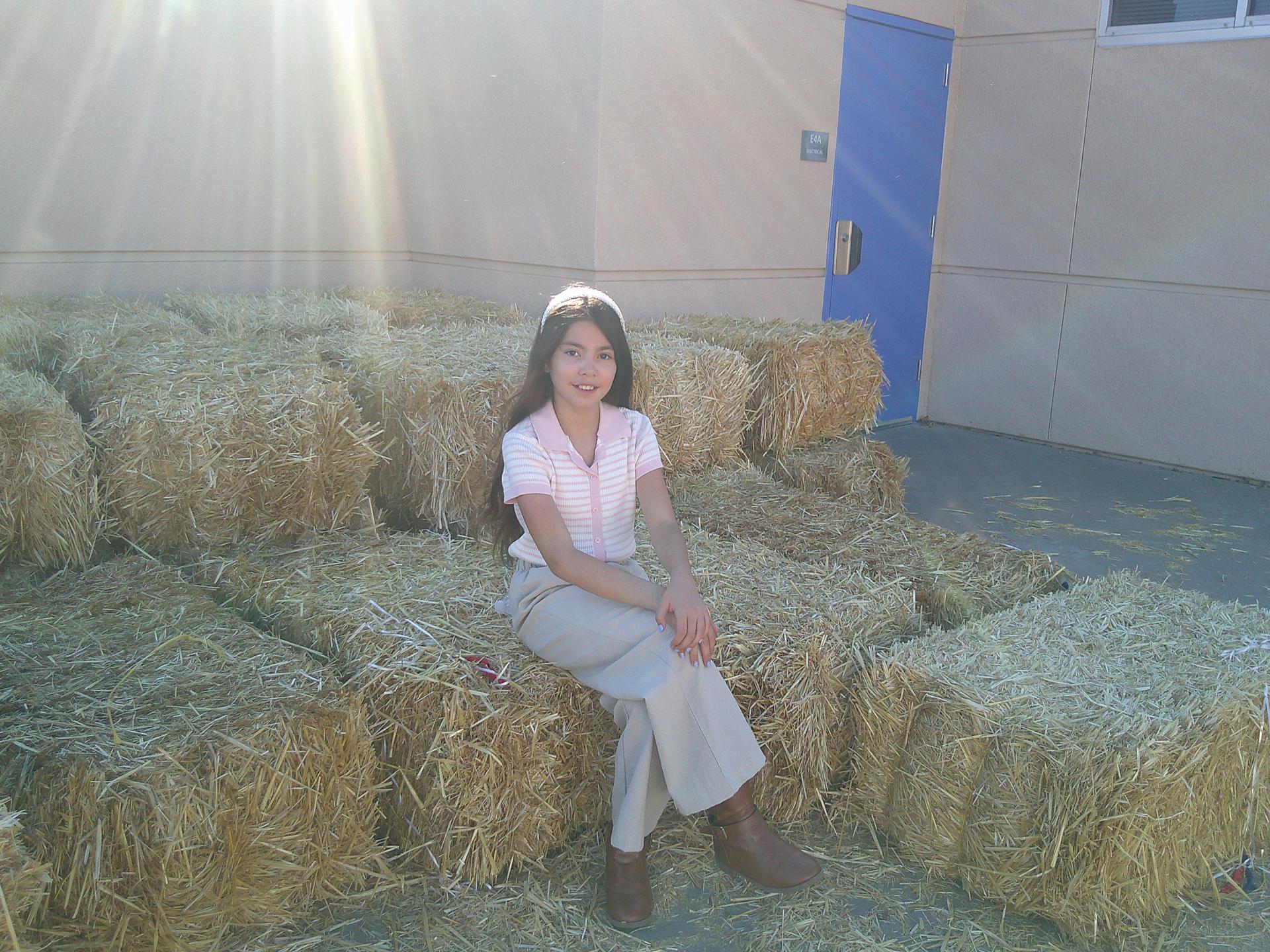 Harvest Festival