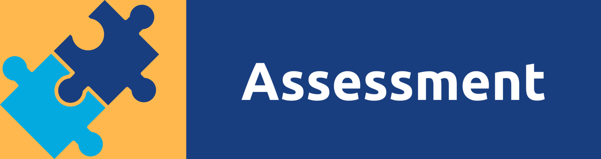 Assessment