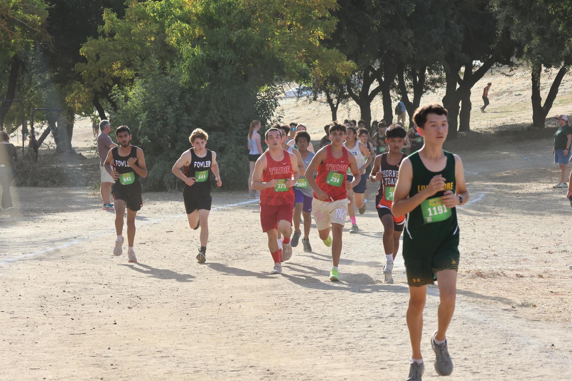 cross country runners in action