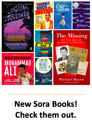 New Sora Books
