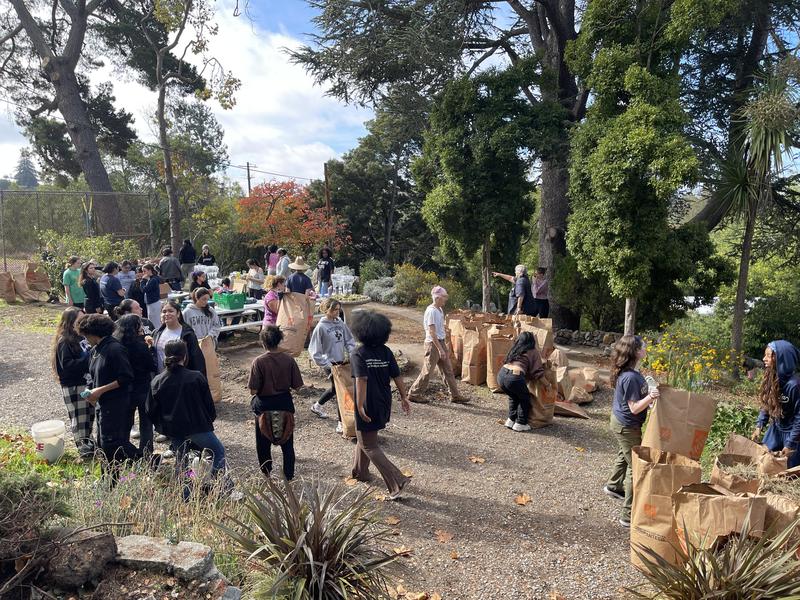 All School Gardening 2025 Featured Photo