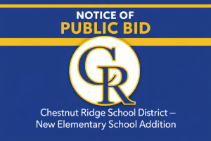 Image with Notice of Public Bid