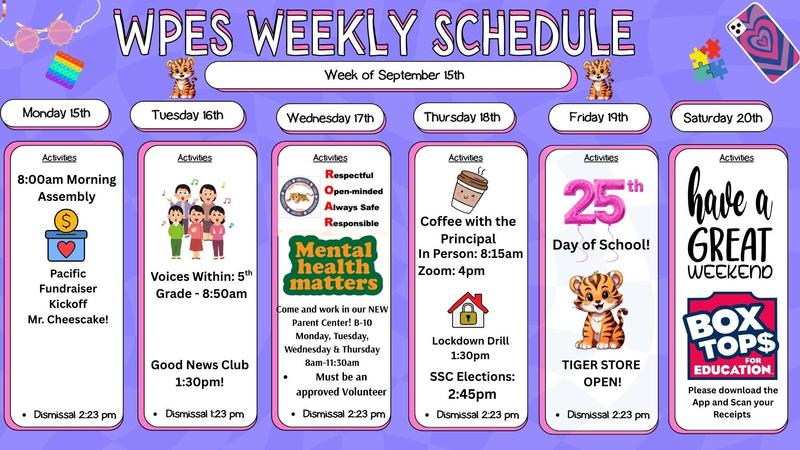 weekly schedule