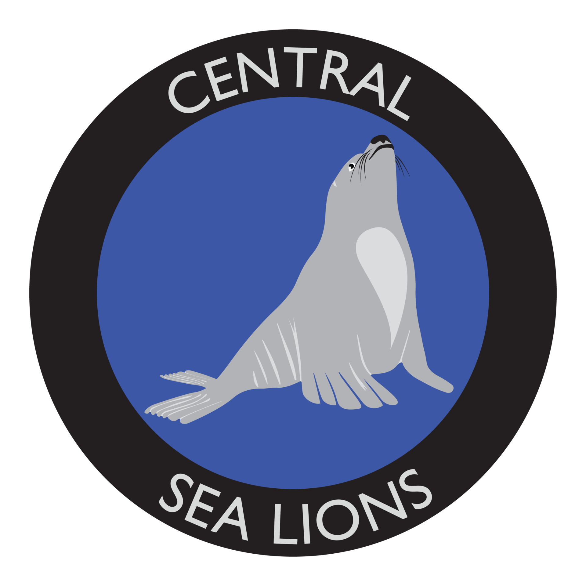 Principal's Message – Our School – Central Elementary