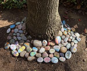 Rock garden at Mt Carmel High