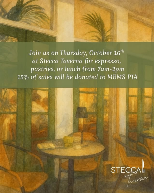 stecca