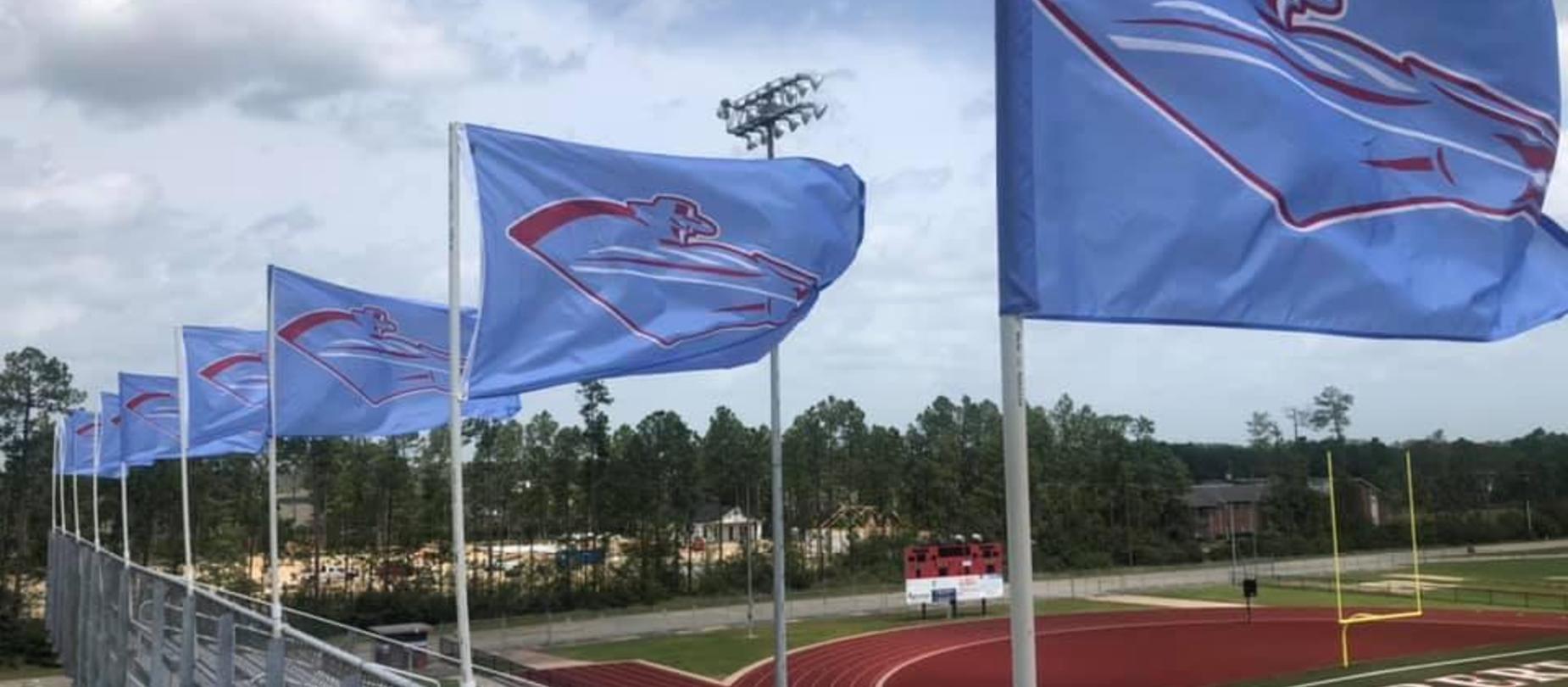 Raider flags