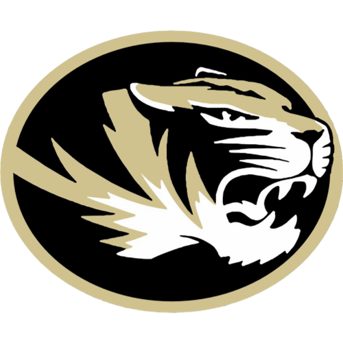 District Tiger logo