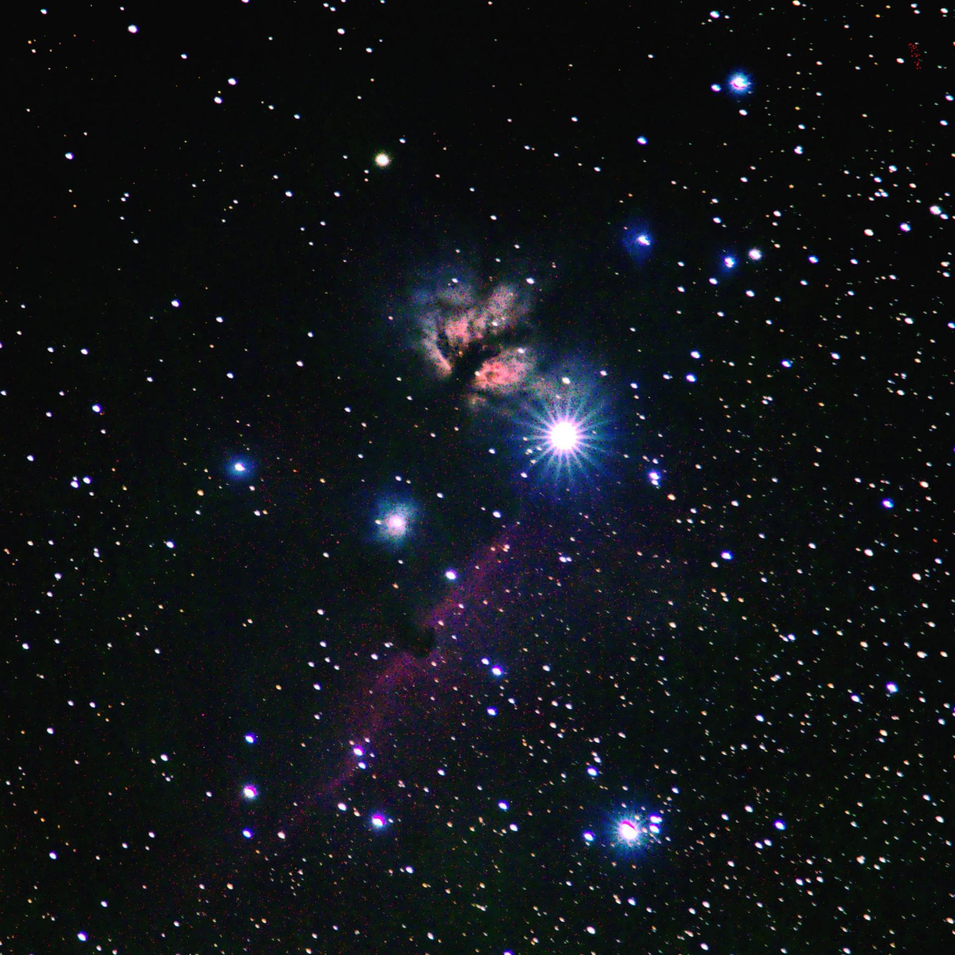 Horsehead & Running Man