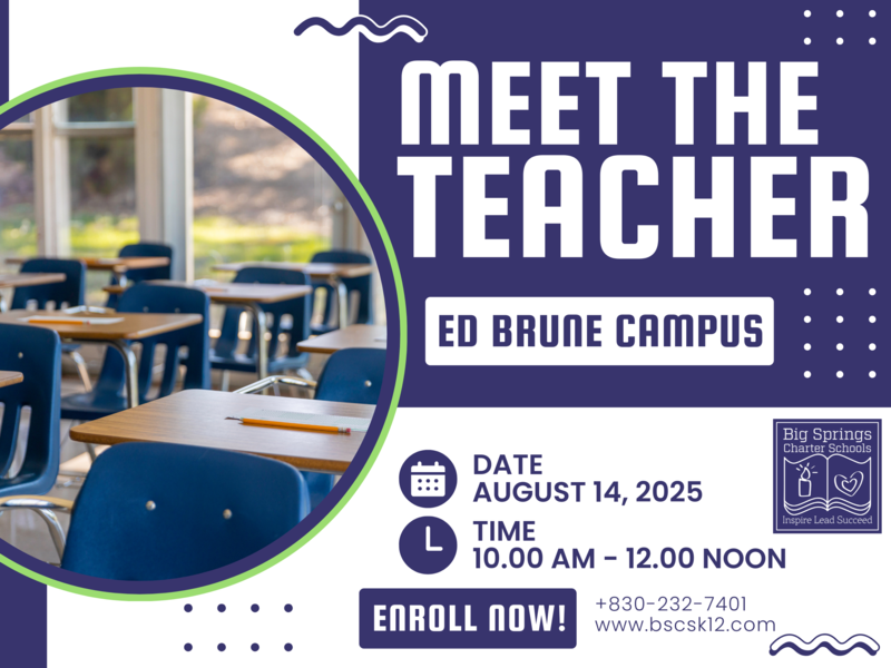 Brune meet the teacher sting