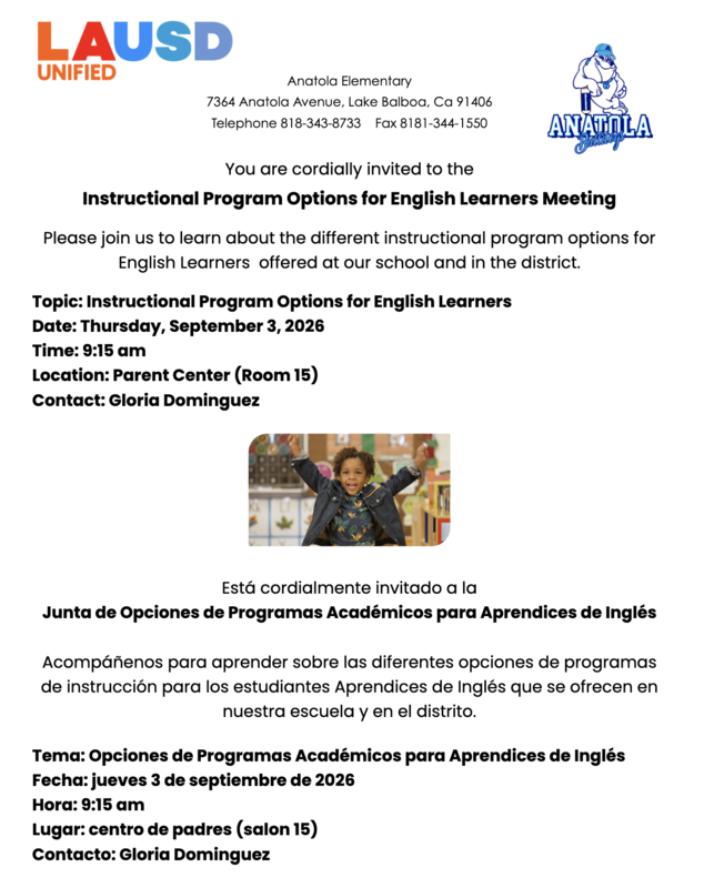 Program Options