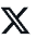 X social medium channel icon