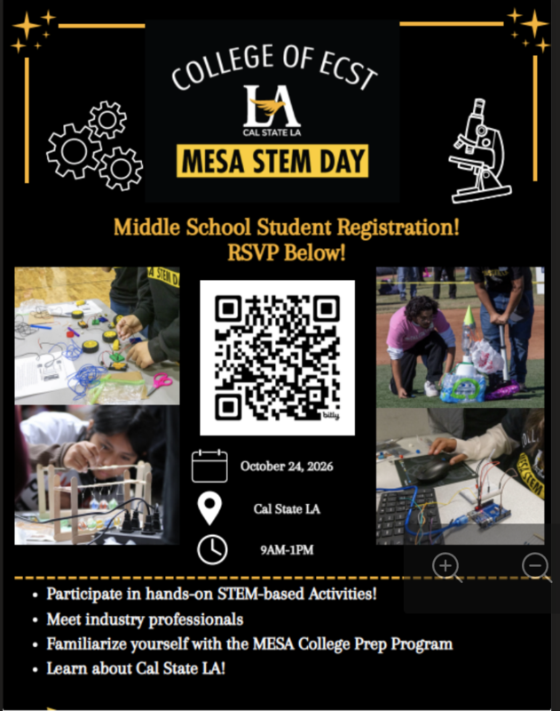 MESA Flyer
