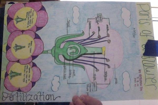 Photo on 5-24-18 at 9.47 AM #2.jpg