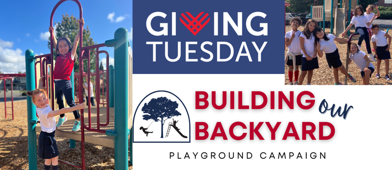 Giving Tuesday ask for Playground Campaign