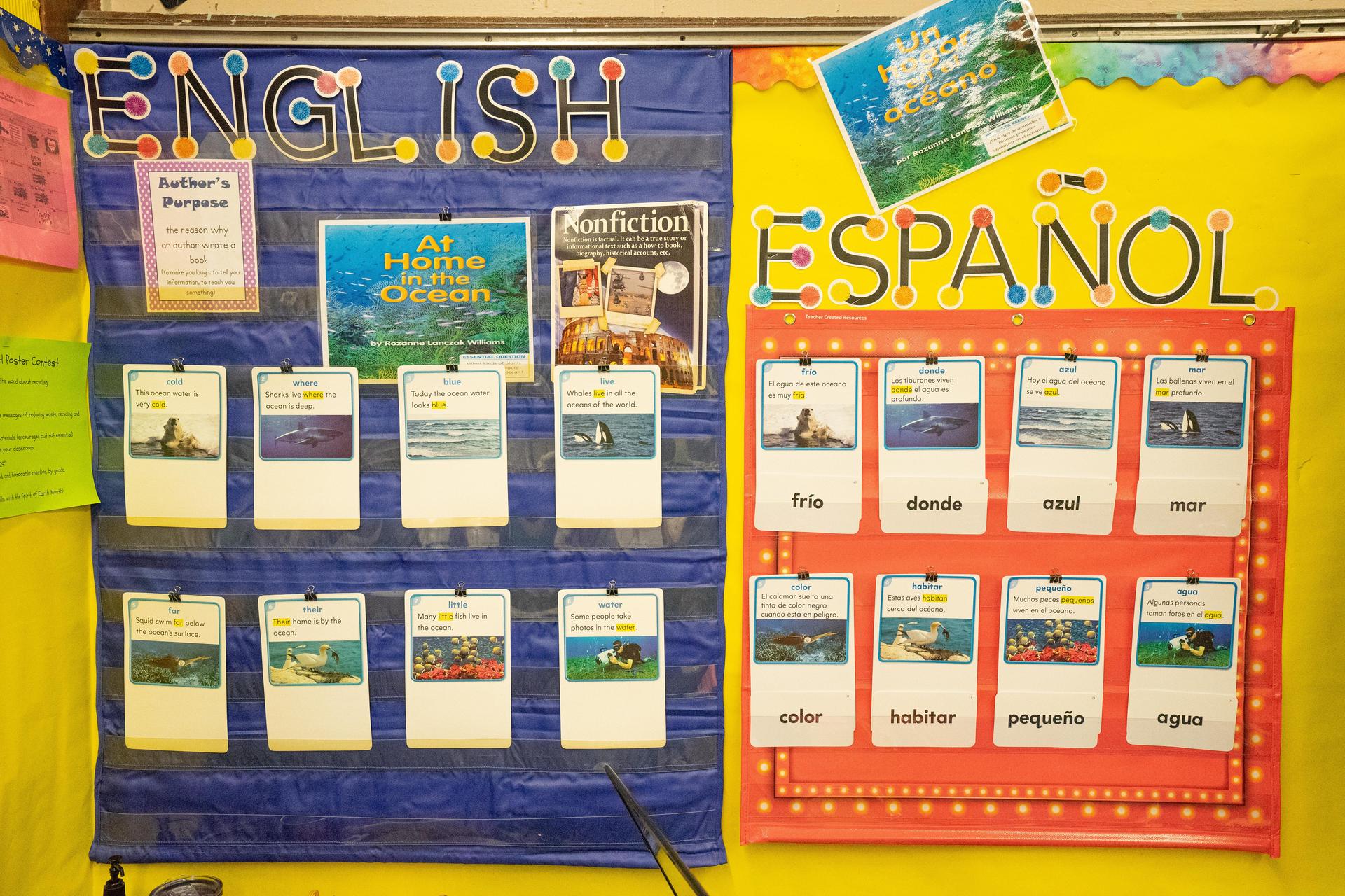 Dual language bulletin board