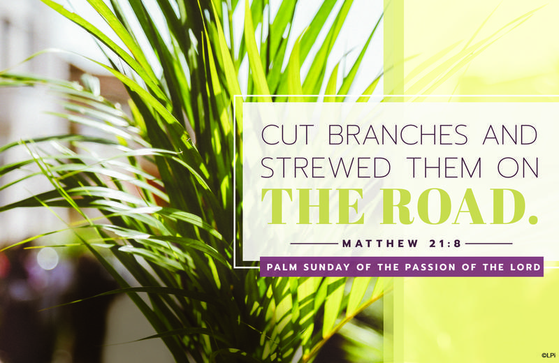 Palm Sunday